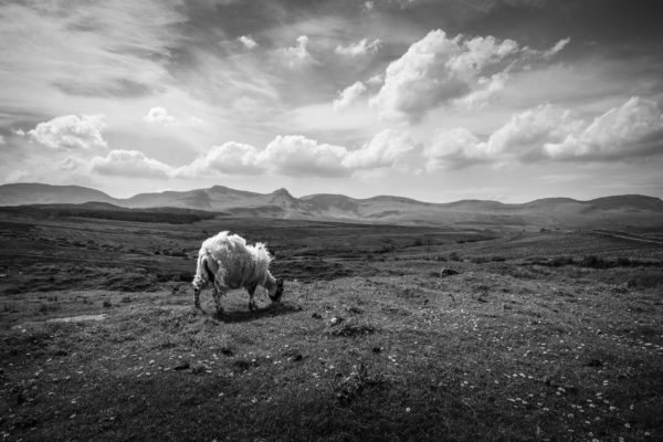 Region Scotland,Isle of Skye III, © Nicolas Hochenegg