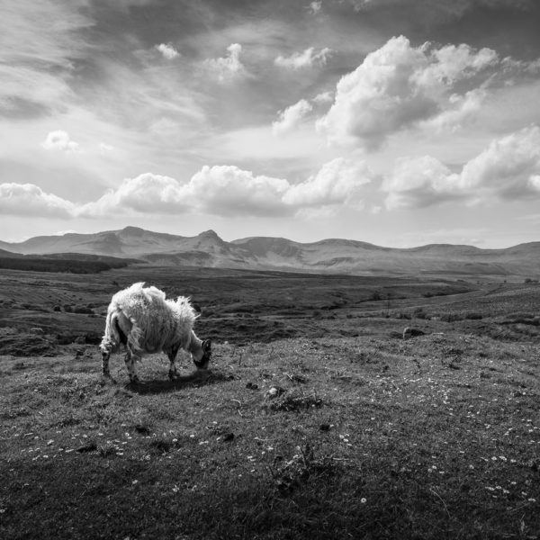 Region Scotland,Isle of Skye III, © Nicolas Hochenegg