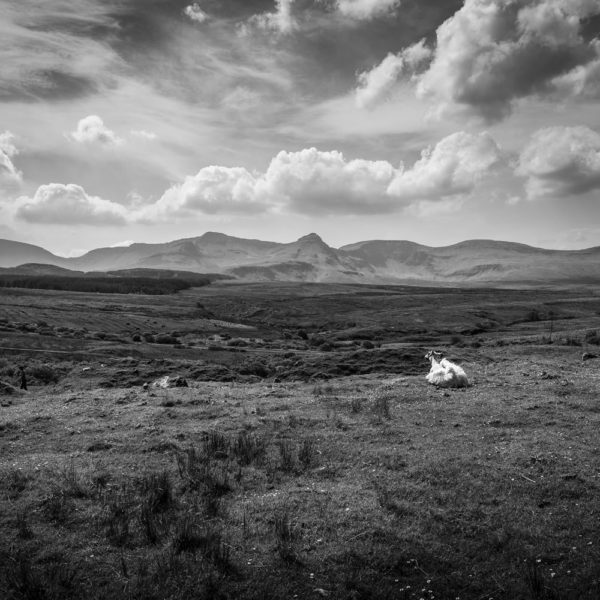 Region Scotland,Isle of Skye IV, © Nicolas Hochenegg