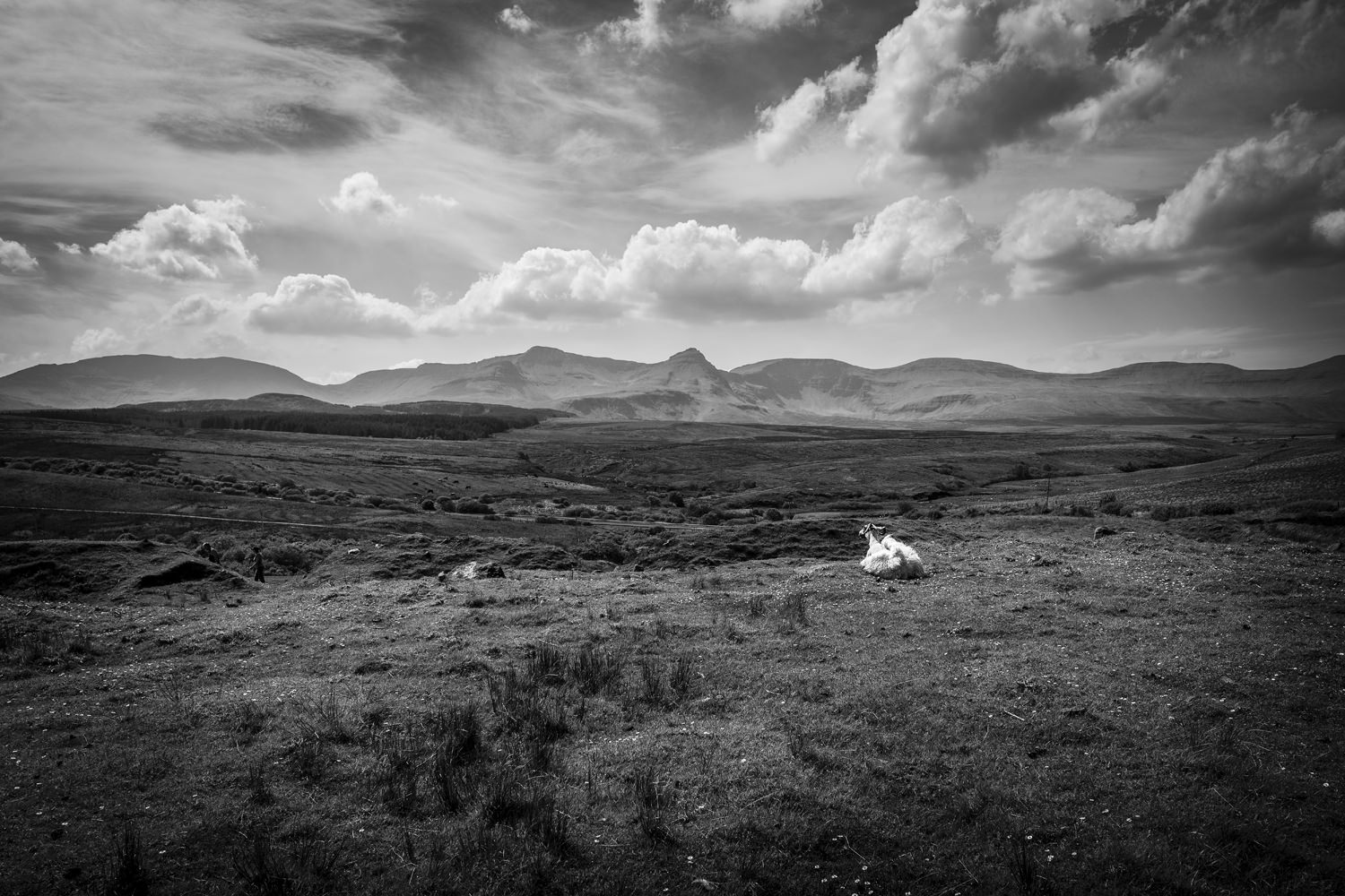 Region Scotland,Isle of Skye IV, © Nicolas Hochenegg
