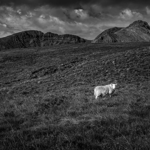 Region Scotland,Isle of Skye V, © Nicolas Hochenegg