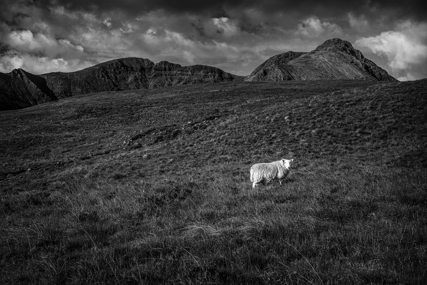 Region Scotland,Isle of Skye V, © Nicolas Hochenegg