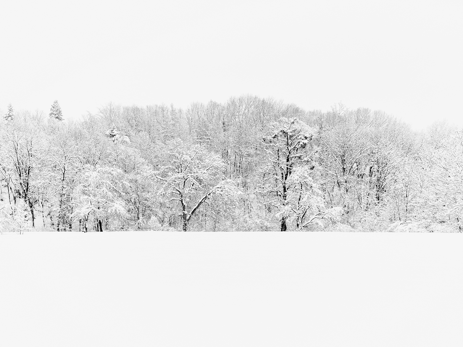 Regionales 3052 Innermanzing, Winter Wonderland IV, © Nicolas Hochenegg