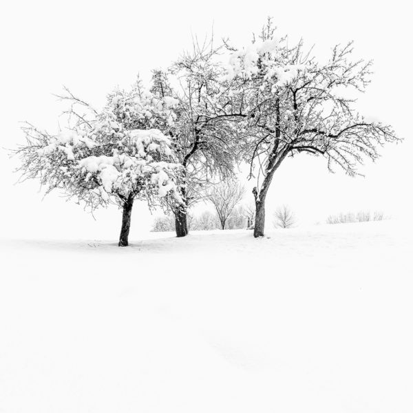 Regionales 3052 Innermanzing, Winter Wonderland I, © Nicolas Hochenegg