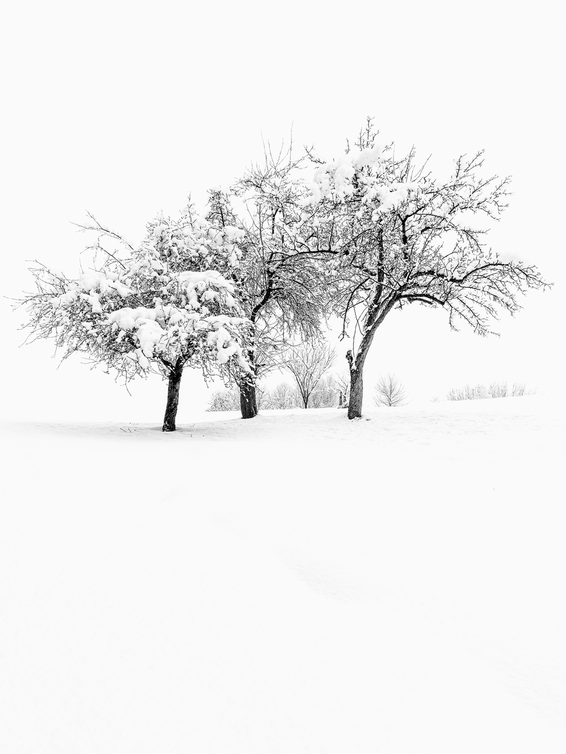 Regionales 3052 Innermanzing, Winter Wonderland I, © Nicolas Hochenegg