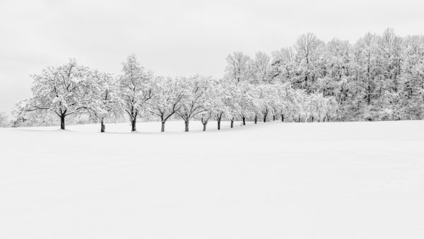 Regionales 3052 Innermanzing, Winter Wonderland VII, © Nicolas Hochenegg