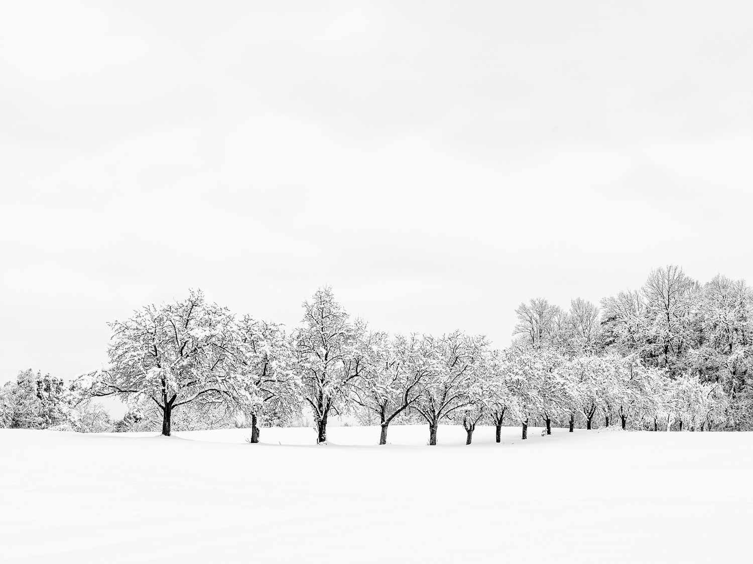 Regionales 3052 Innermanzing, Winter Wonderland VI, © Nicolas Hochenegg