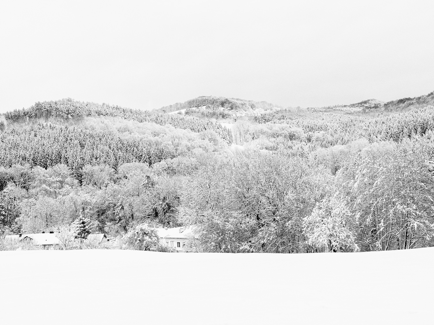 Regionales 3052 Innermanzing, Winter Wonderland V, © Nicolas Hochenegg